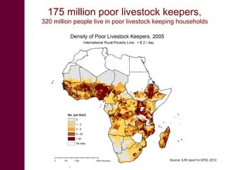 An integrated approach to controlling brucellosis in Africa: Introduction to the meeting