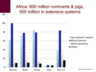 An integrated approach to controlling brucellosis in Africa: Introduction to the meeting