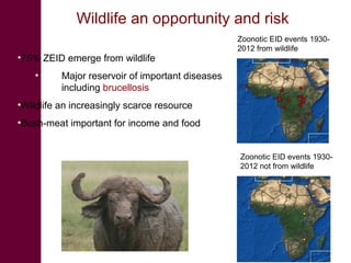 An integrated approach to controlling brucellosis in Africa: Introduction to the meeting