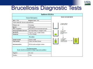Differential diagnosis of brucellosis serologic reactions