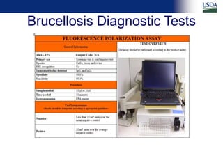 Differential diagnosis of brucellosis serologic reactions