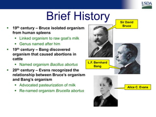 Differential diagnosis of brucellosis serologic reactions