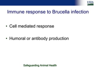 Differential diagnosis of brucellosis serologic reactions