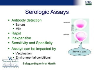 Differential diagnosis of brucellosis serologic reactions