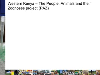 Two stories on brucellosis in Kenya