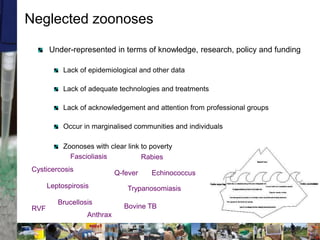 Two stories on brucellosis in Kenya