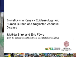 Two stories on brucellosis in Kenya