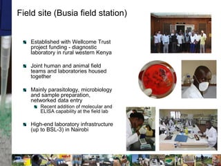 Two stories on brucellosis in Kenya