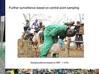 Two stories on brucellosis in Kenya