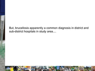 Two stories on brucellosis in Kenya