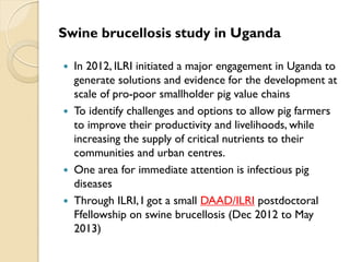 Brucellosis in humans and livestock in Uganda: Challenges and opportunities