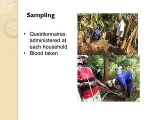 Brucellosis in humans and livestock in Uganda: Challenges and opportunities