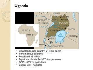 Brucellosis in humans and livestock in Uganda: Challenges and opportunities