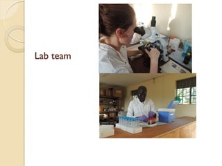 Brucellosis in humans and livestock in Uganda: Challenges and opportunities