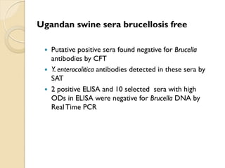 Brucellosis in humans and livestock in Uganda: Challenges and opportunities