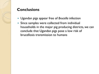 Brucellosis in humans and livestock in Uganda: Challenges and opportunities