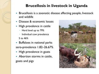 Brucellosis in humans and livestock in Uganda: Challenges and opportunities