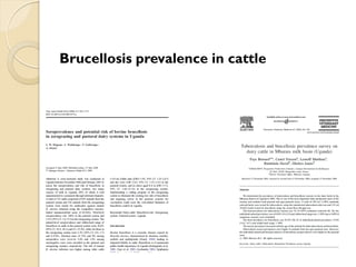 Brucellosis in humans and livestock in Uganda: Challenges and opportunities