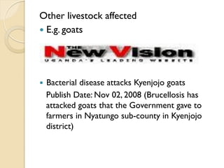 Brucellosis in humans and livestock in Uganda: Challenges and opportunities