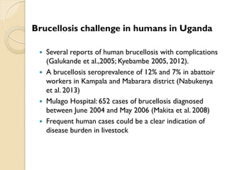 Brucellosis in humans and livestock in Uganda: Challenges and opportunities