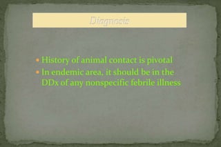  History of animal contact is pivotal
 In endemic area, it should be in the
DDx of any nonspecific febrile illness
 