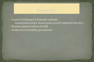  Control of disease in domestic animals
 immunization using B. abortus strain 19 and B. melitensis strain Rev 1
 Routine pasteurization of milk
 In labs strict biosafety precautions
 