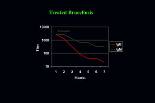 10
100
1000
10000
1 2 3 4 5 6 7
Months
Titer
IgG
IgM
Treated Brucellosis
Treatment
 