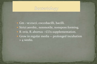  Gm - ve cocci, coccobacilli, bacilli.
 Strict aerobic, nonmotile, nonspore forming.
 B. ovis, B. abortus --CO2 supplementation.
 Grow in regular media -- prolonged incubation
> 4 weeks.
 