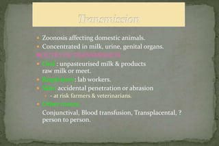  Zoonosis affecting domestic animals.
 Concentrated in milk, urine, genital organs.
ROUTES OF TRANSMISSION
 Oral : unpasteurised milk & products
raw milk or meet.
 Respiratory: lab workers.
 Skin: accidental penetration or abrasion
 - at risk farmers & veterinarians.
 Other routes:
Conjunctival, Blood transfusion, Transplacental, ?
person to person.
 