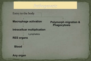 Entry to the body
Macrophage activation Polymorph migration &
Phagocytosis
Intracelluar multiplication
RES organs
Blood
Any organ
Lymphatics
 