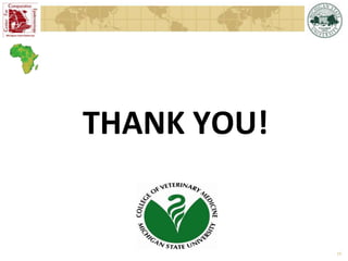 Epidemiology of brucellosis in ruminants: the basics and dynamics of the disease