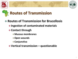 Epidemiology of brucellosis in ruminants: the basics and dynamics of the disease