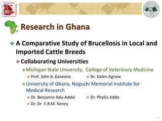 Overview of  Michigan State University Brucellosis Research in Africa