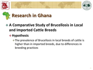 Overview of  Michigan State University Brucellosis Research in Africa