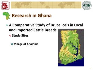 Overview of  Michigan State University Brucellosis Research in Africa