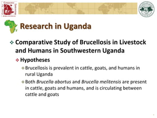 Overview of  Michigan State University Brucellosis Research in Africa