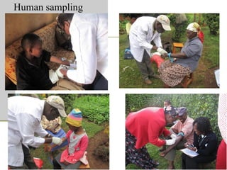 One Health units and brucellosis in Kenya