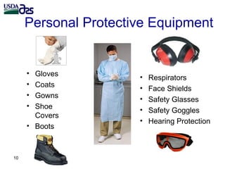 Laboratory biosafety and biosecurity issues related to Brucella research and diagnostics