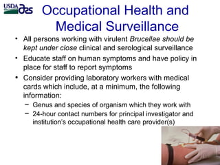 Laboratory biosafety and biosecurity issues related to Brucella research and diagnostics