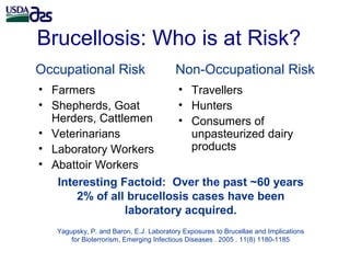 Laboratory biosafety and biosecurity issues related to Brucella research and diagnostics