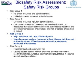 Laboratory biosafety and biosecurity issues related to Brucella research and diagnostics
