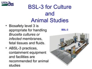 Laboratory biosafety and biosecurity issues related to Brucella research and diagnostics