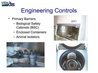 Laboratory biosafety and biosecurity issues related to Brucella research and diagnostics