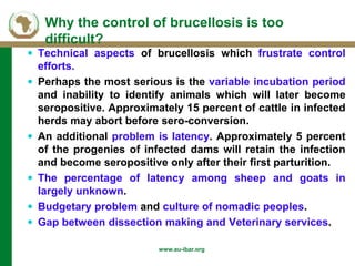 Background of AU-IBAR and brucellosis: Past, present and future in Middle and East (Africa)
