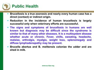 Background of AU-IBAR and brucellosis: Past, present and future in Middle and East (Africa)