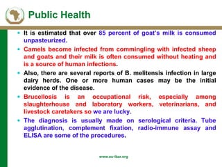 Background of AU-IBAR and brucellosis: Past, present and future in Middle and East (Africa)