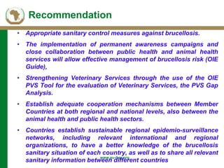 Background of AU-IBAR and brucellosis: Past, present and future in Middle and East (Africa)