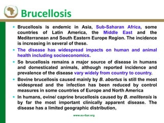 Background of AU-IBAR and brucellosis: Past, present and future in Middle and East (Africa)