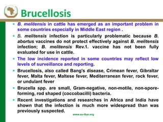 Background of AU-IBAR and brucellosis: Past, present and future in Middle and East (Africa)