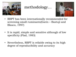 Prevalence of antibodies against Brucella among breeding goats in relation to source: A case study in Mbarara District, South Western Uganda
